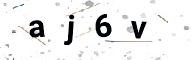 283333