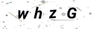 323816